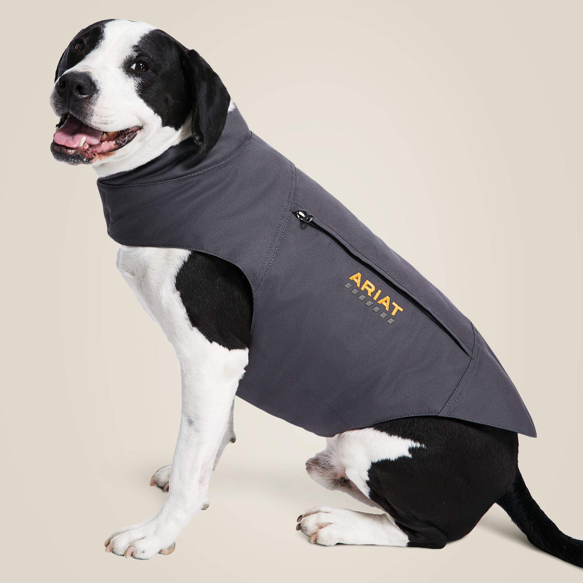 Rebar DuraCanvas Insulated Dog Jacket - Ariat Quality