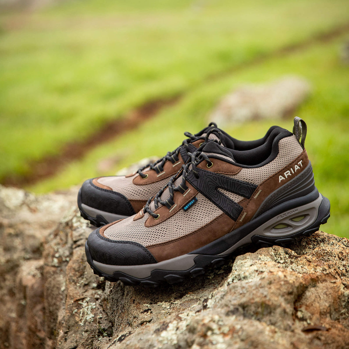Traverse Low Waterproof Hiking Shoe - Ariat Essential
