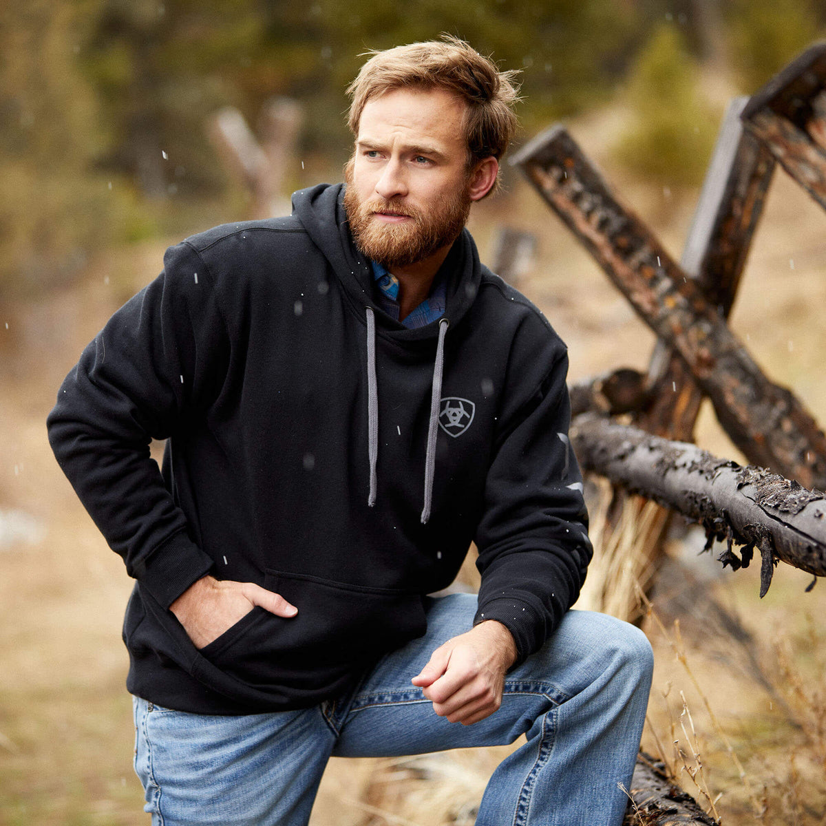 Ariat Logo Hoodie - Ariat Popular