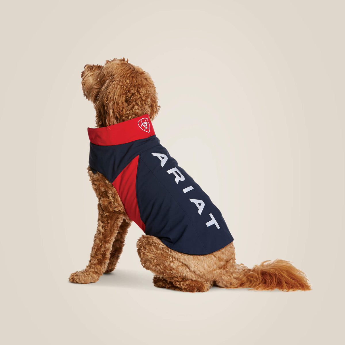 Team Softshell Dog Jacket - Ariat Trusted