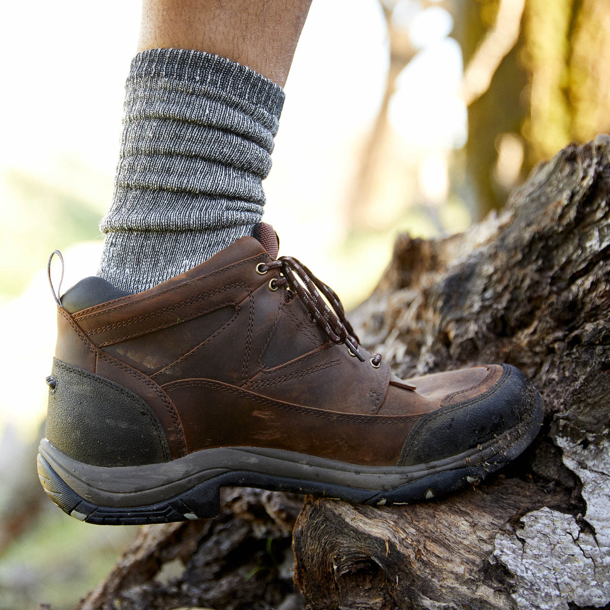 Terrain Waterproof Boot - Ariat Essential