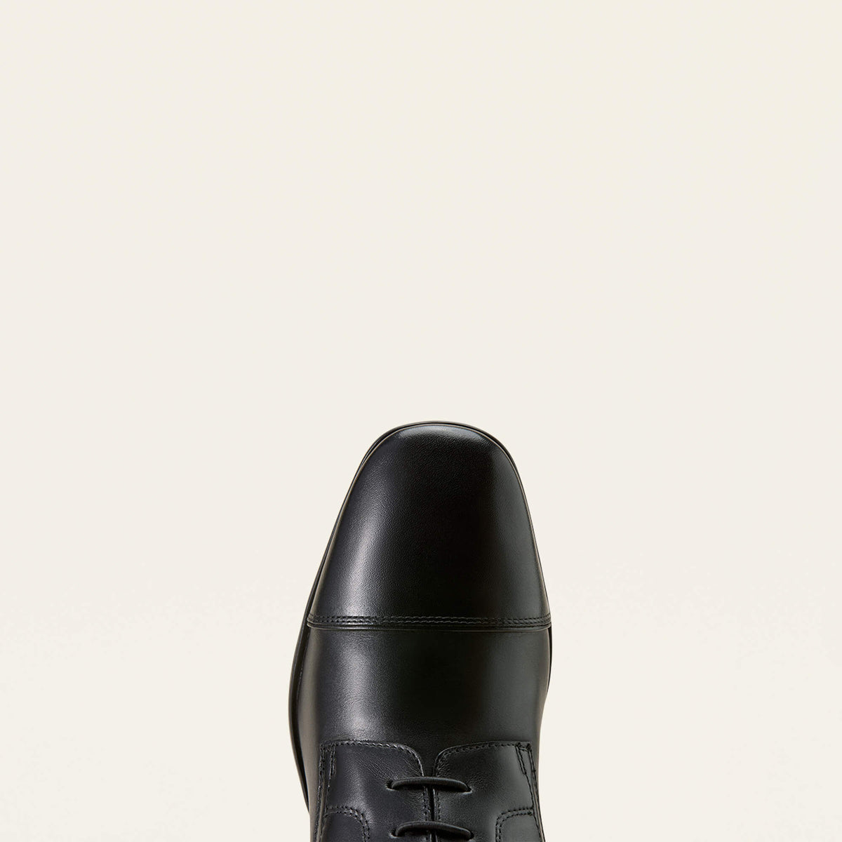 Palisade Field Tall Riding Boot - Ariat Customer Favorite