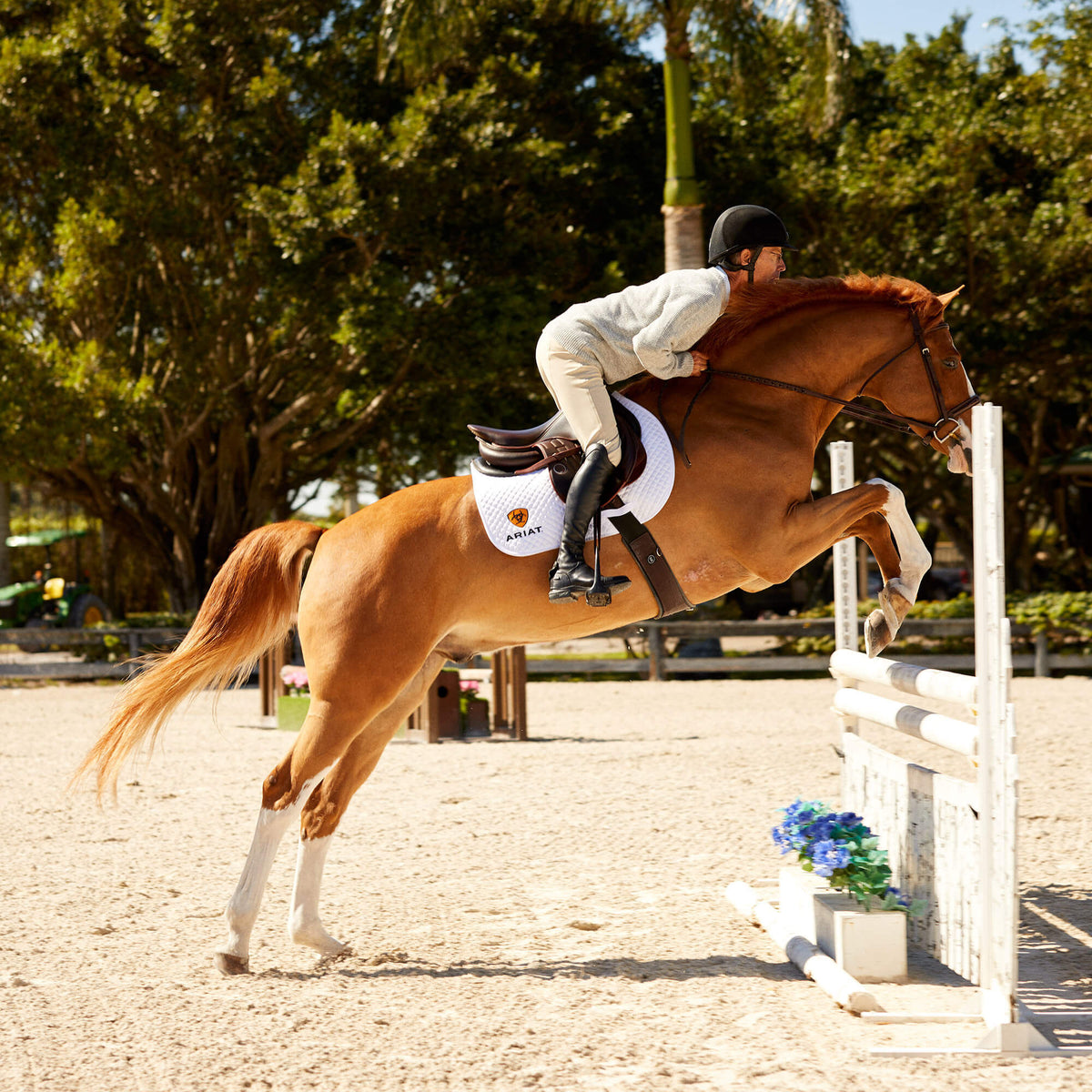Devon Tall Riding Boot - Ariat Best Price