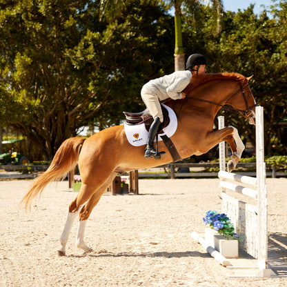 Devon Tall Riding Boot - Ariat Best Price