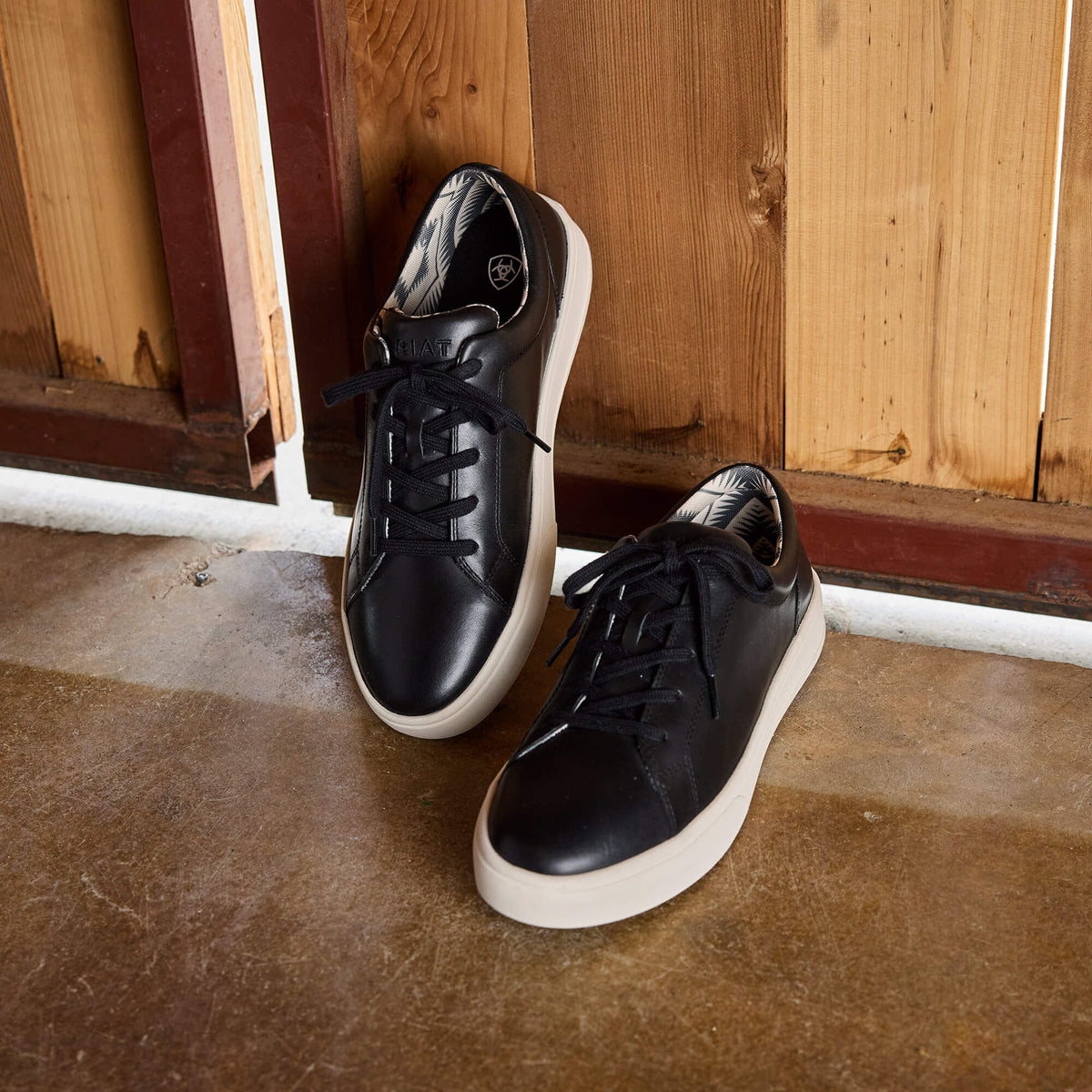 Sawyer Shoe - Ariat Trusted