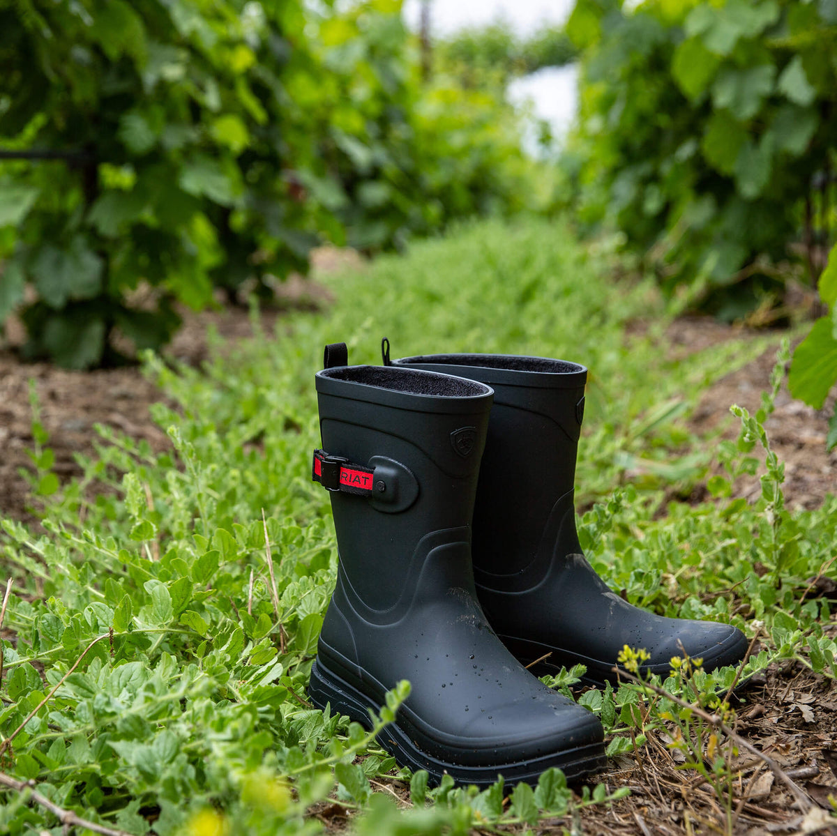 Kelmarsh Mid Rubber Boot - Ariat Latest