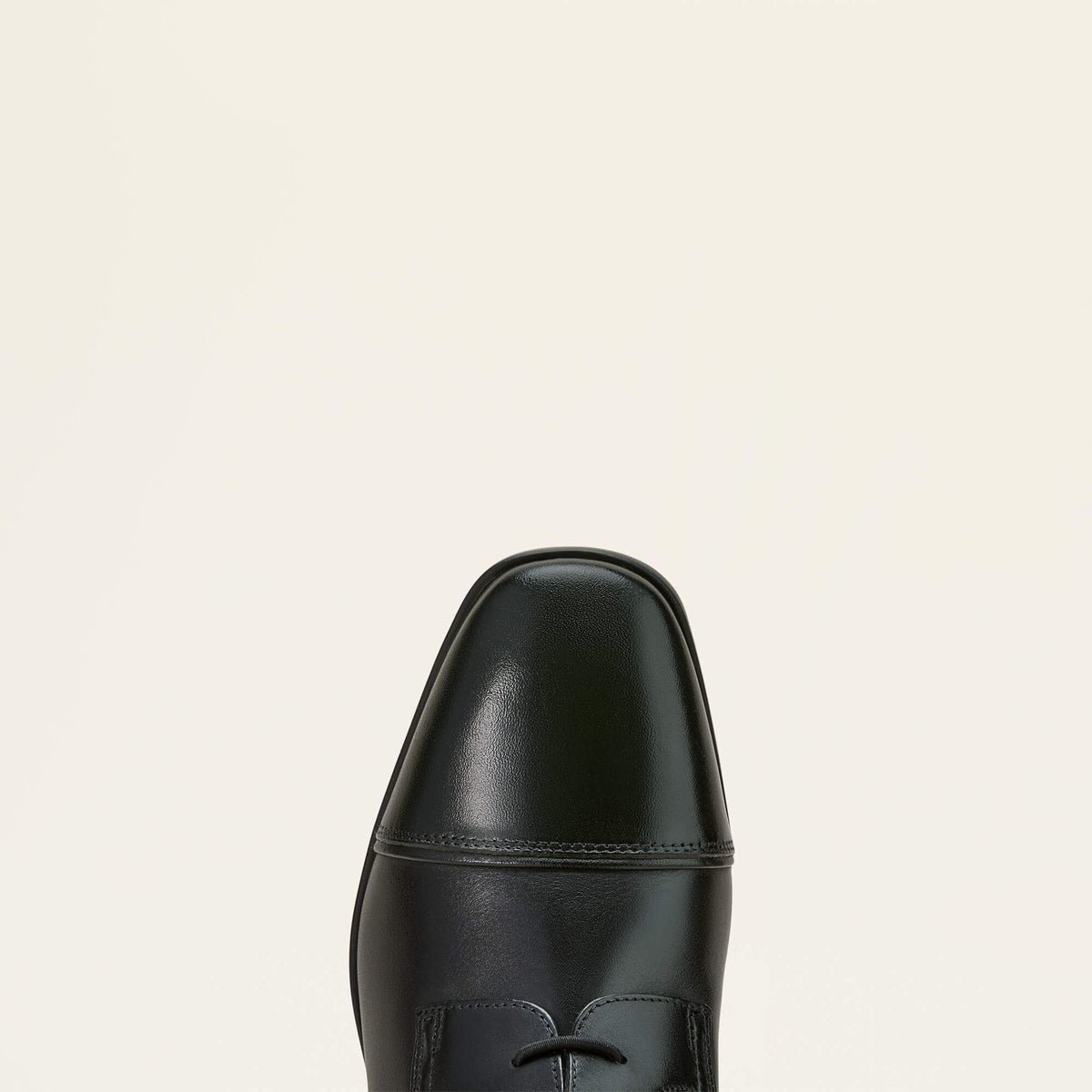 Palisade Field Tall Riding Boot - Ariat Best Price