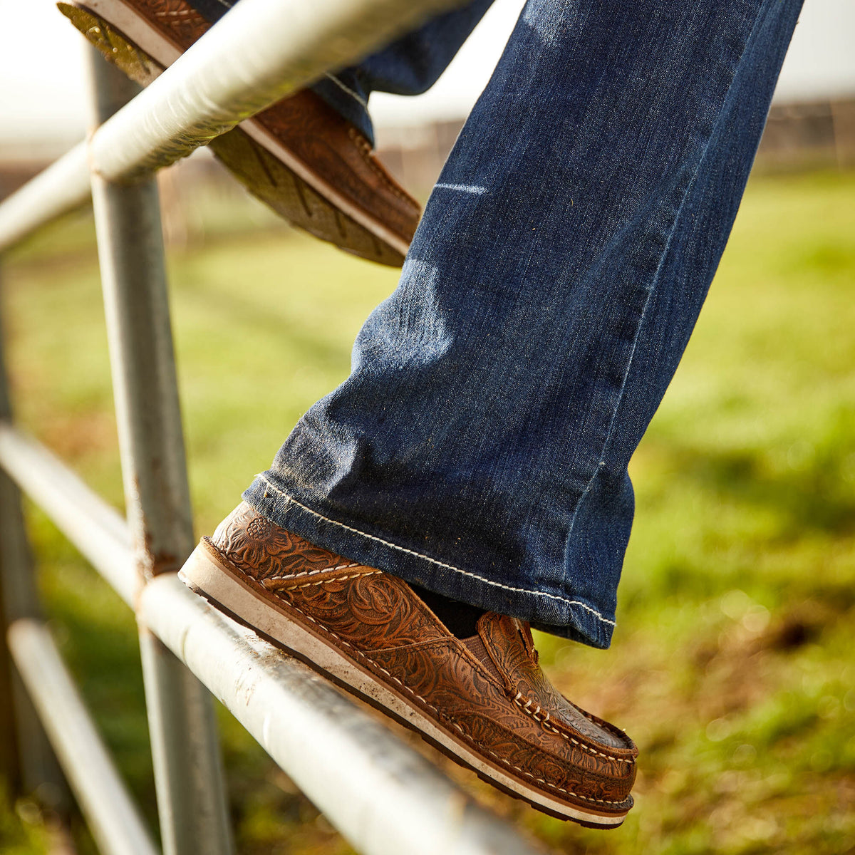 Cruiser - Ariat Premium