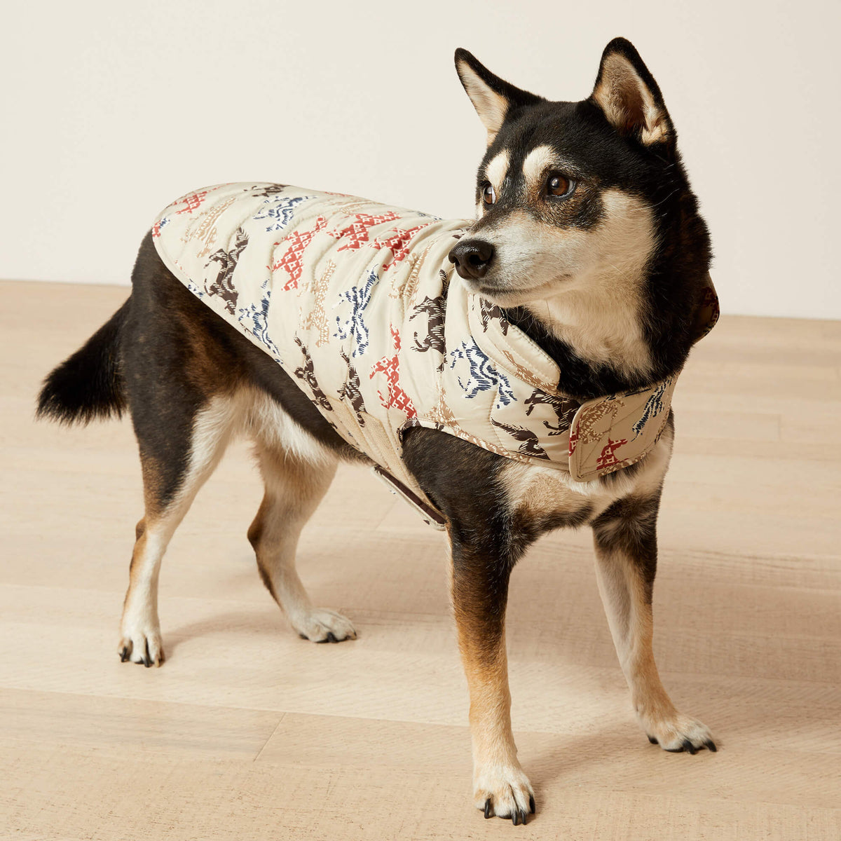 Pup Puffer Jacket - Ariat Discount