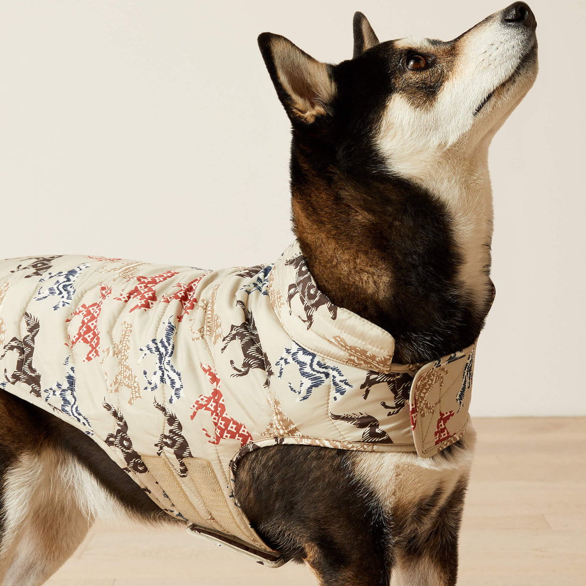 Pup Puffer Jacket - Ariat Discount