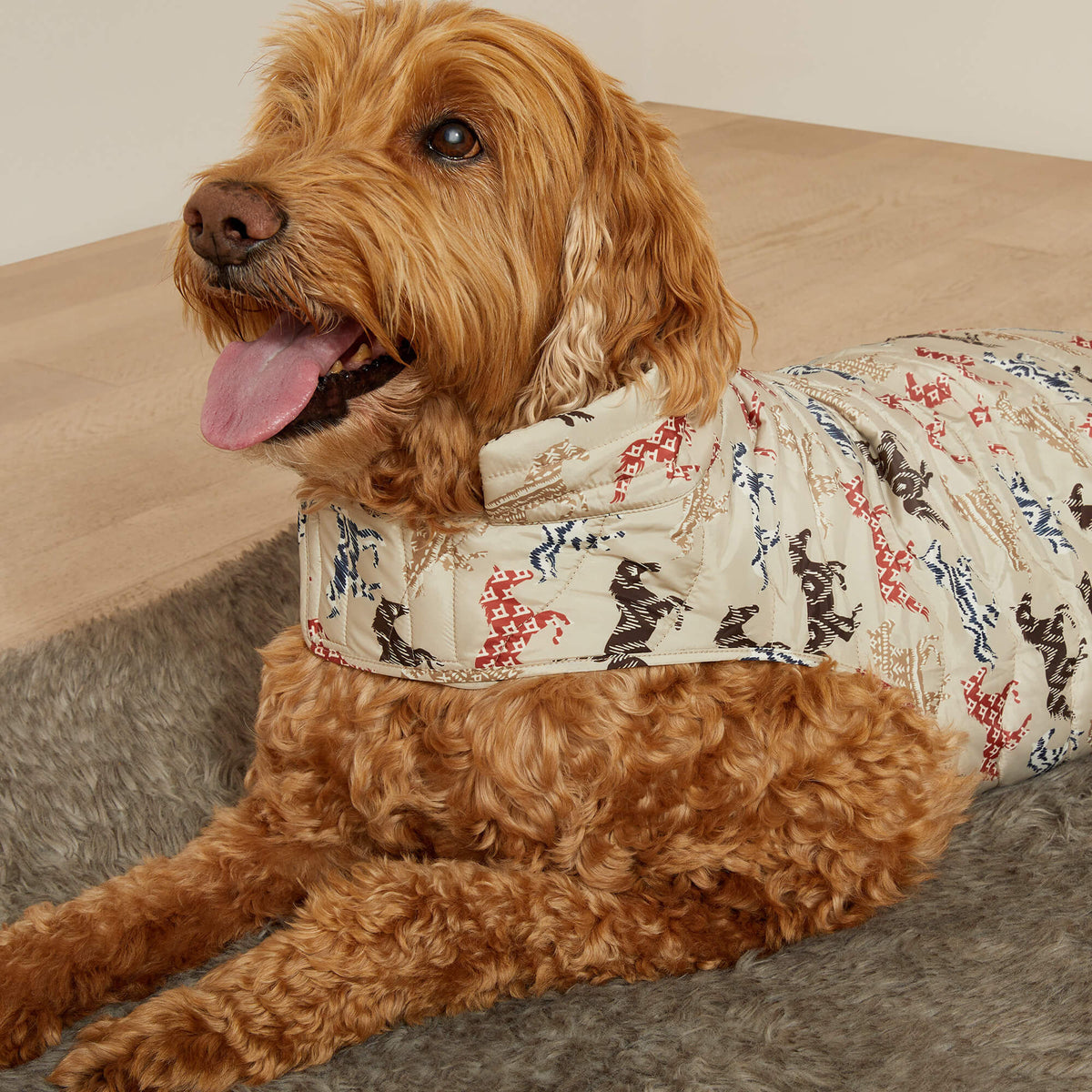 Pup Puffer Jacket - Ariat Discount