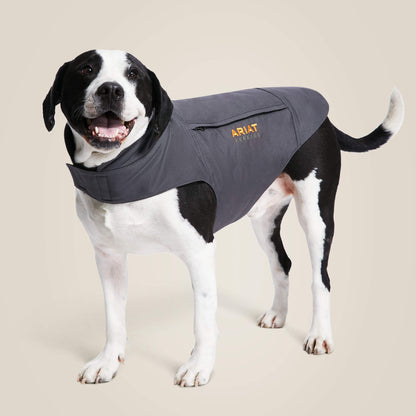 Rebar DuraCanvas Insulated Dog Jacket - Ariat Quality