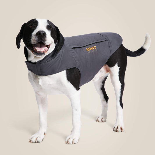 Rebar DuraCanvas Insulated Dog Jacket - Ariat Quality
