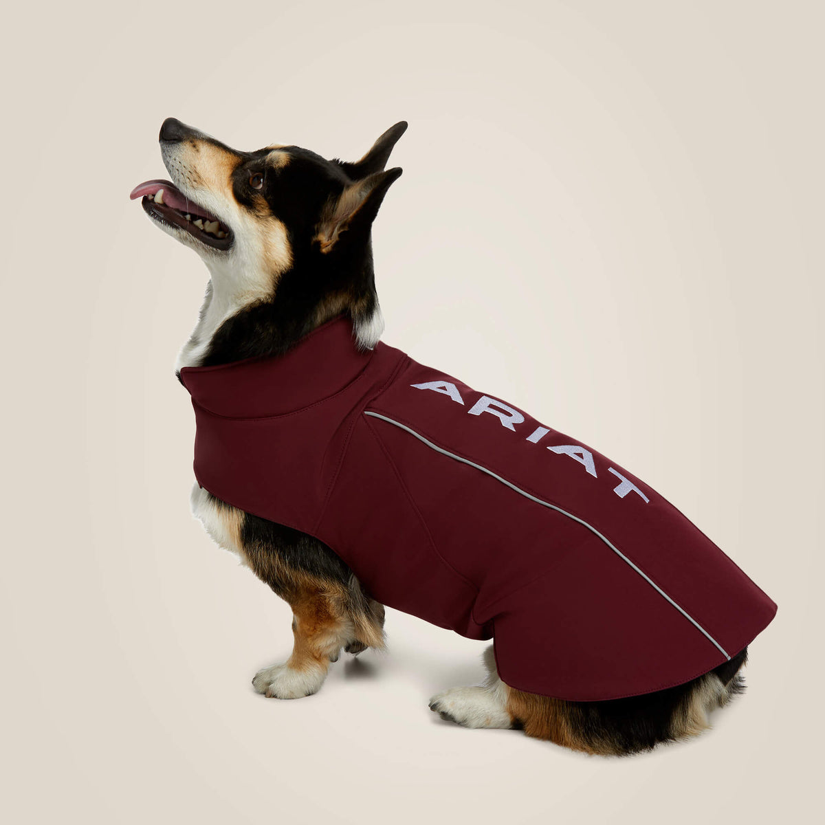 Team Softshell Dog Jacket - Ariat Customer Favorite
