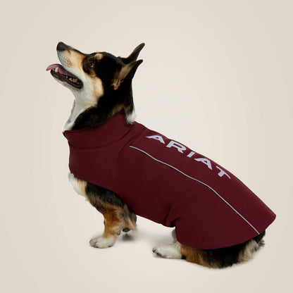 Team Softshell Dog Jacket - Ariat Customer Favorite