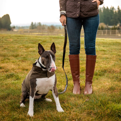 Dog Leash - Ariat Popular