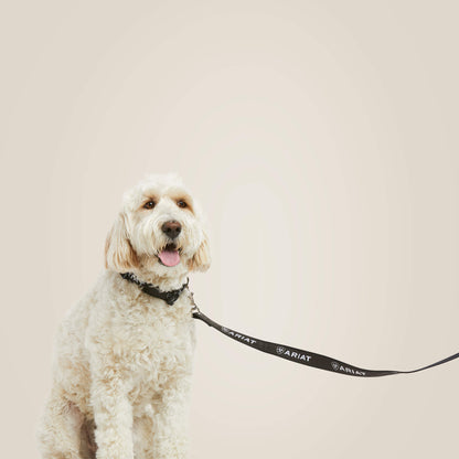 Dog Leash - Ariat Popular
