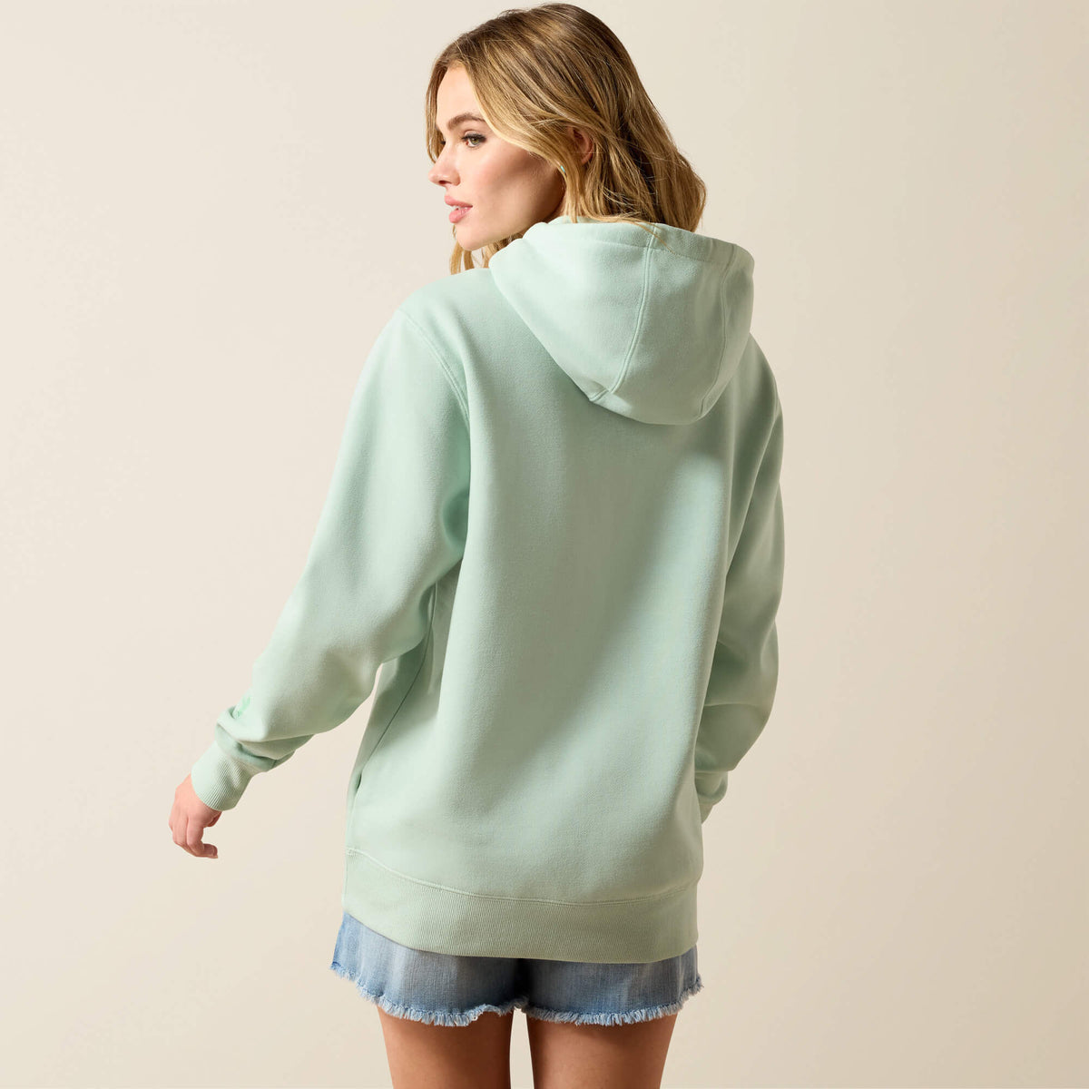 Ariat Logo 2.0 Hoodie - Ariat Value