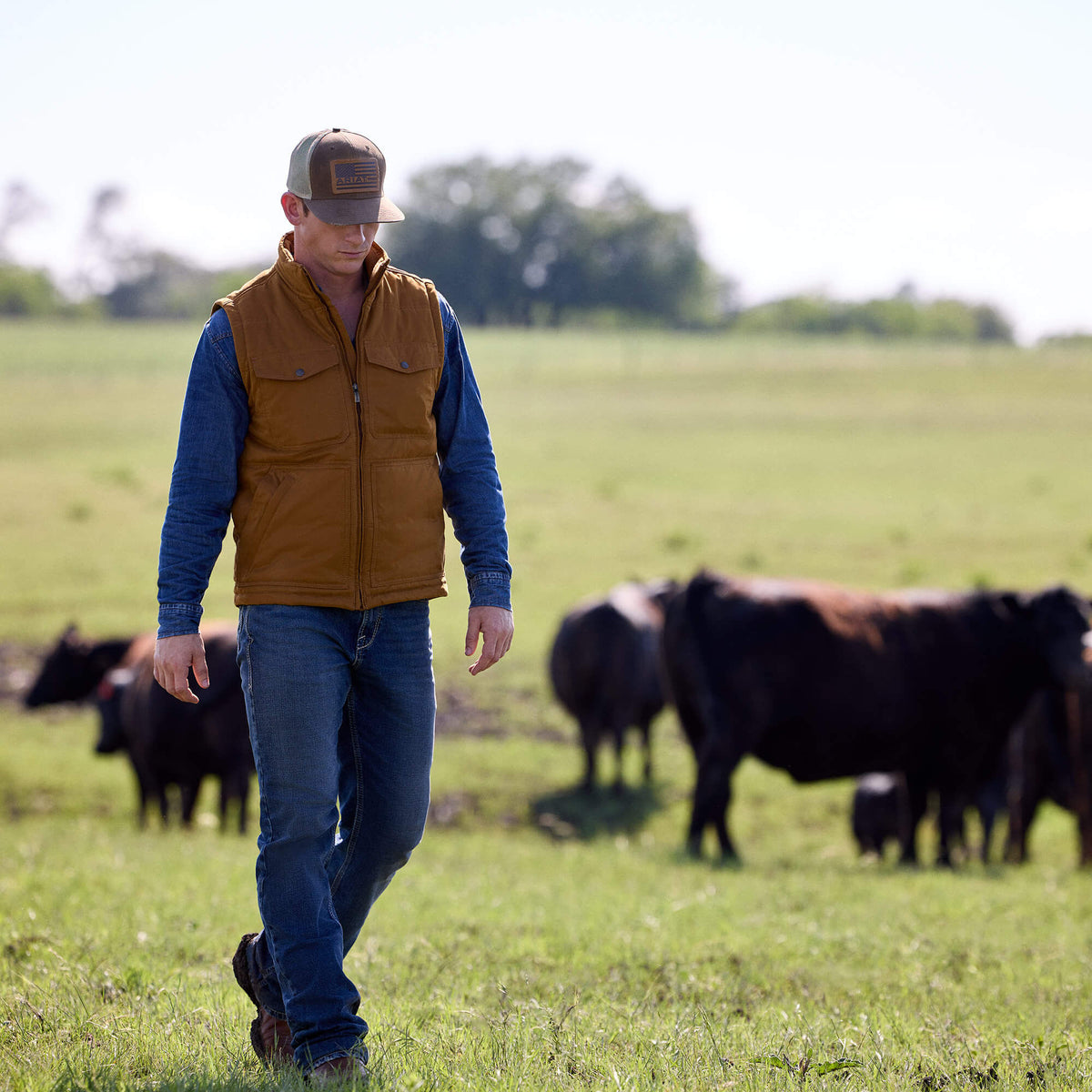 M7 Slim Sawyer Classic Rise Straight Leg Jeans - Ariat Featured