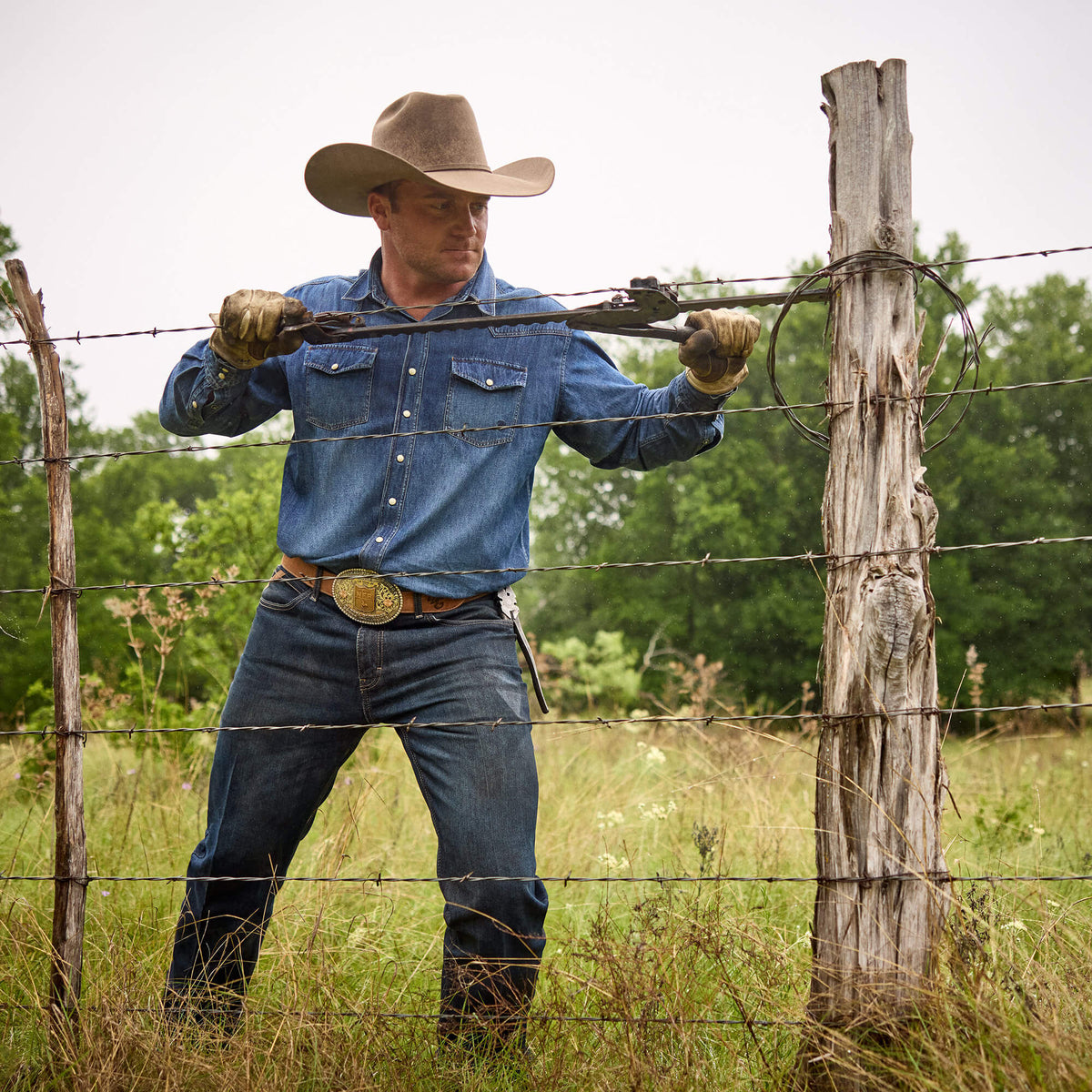 Classic Denim Shirt - Ariat Everyday
