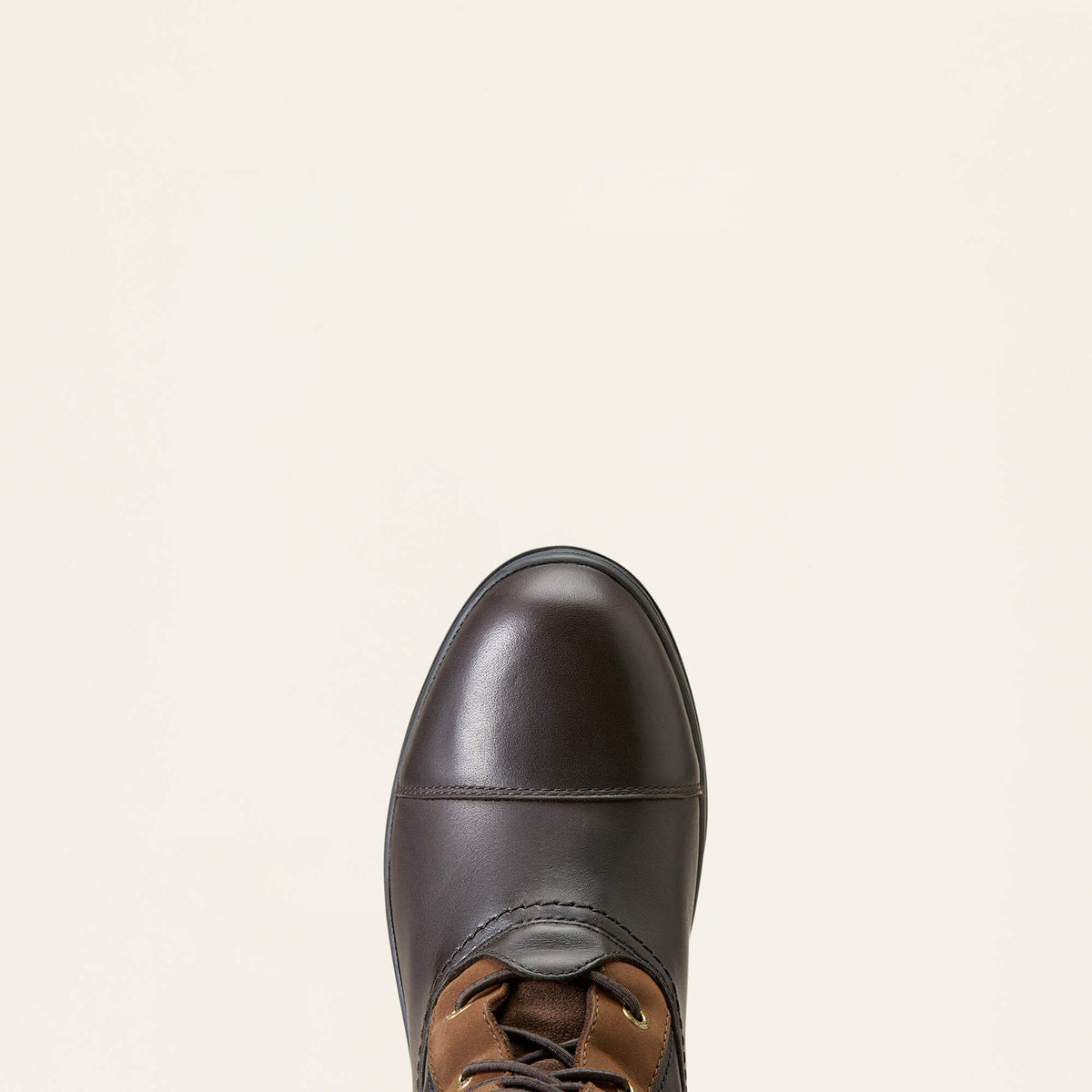 Coniston Max Waterproof Insulated Boot - Ariat Special Offer