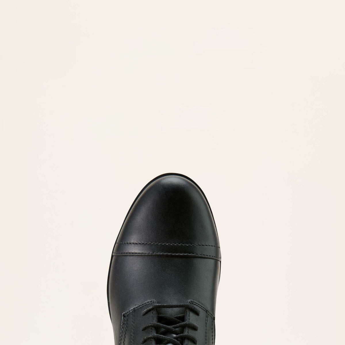 Scout Paddock Boot - Ariat Sale