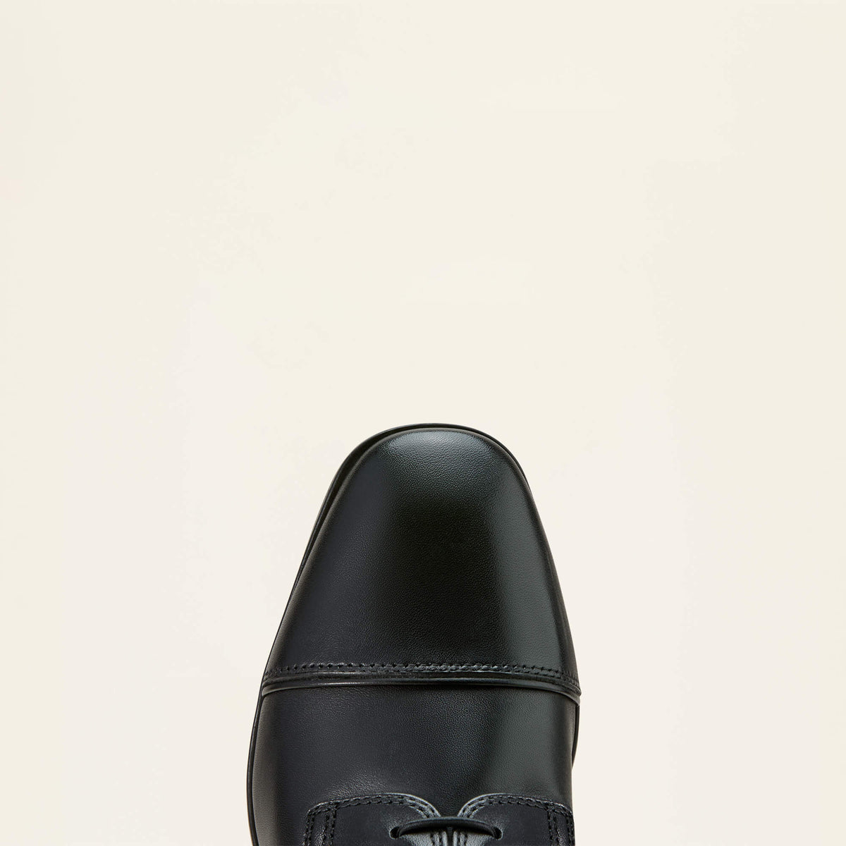 Palisade Lace Tall Riding Boot - Ariat Exclusive