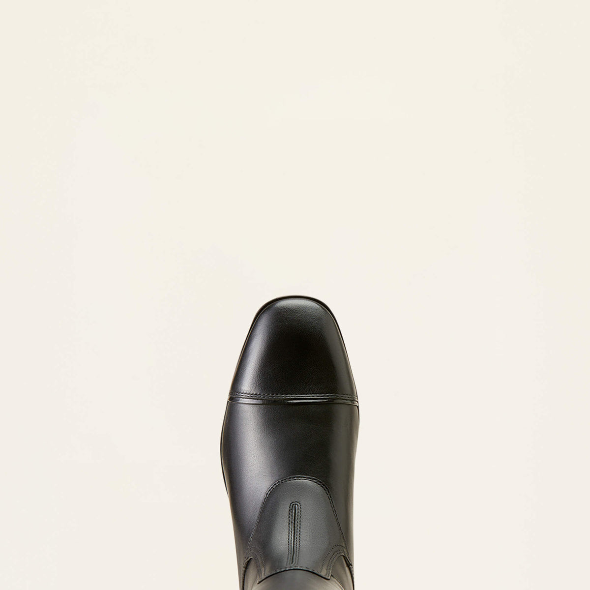 Palisade Show Tall Riding Boot - Ariat Signature