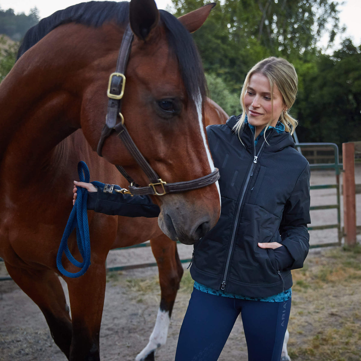 Taxore Insulated Jacket - Ariat Classic