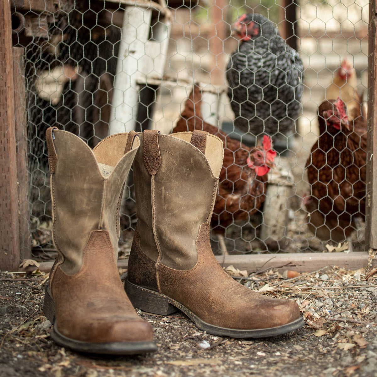 Rambler Western Boot - Ariat Best Seller